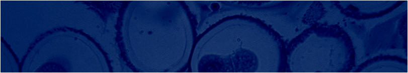 Cells